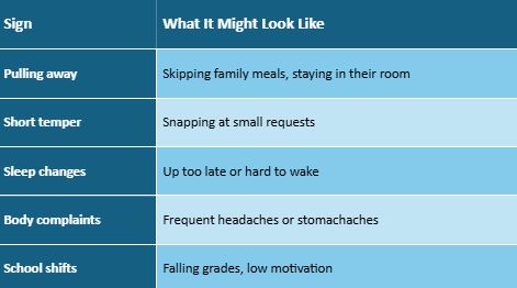 Teen Is Struggling Emotionally